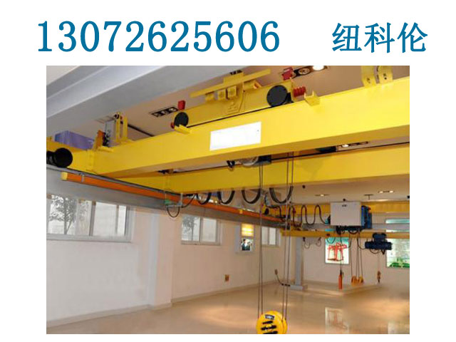  柳州欧式起重机